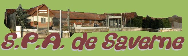 Bienvenue sur le site de la SPA de Saverne